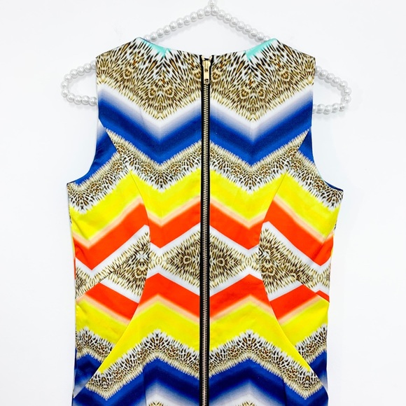 Milly Chevron Paneled Shift Mini Dress in Exotic Cheetah Print - Picture 5 of 7
